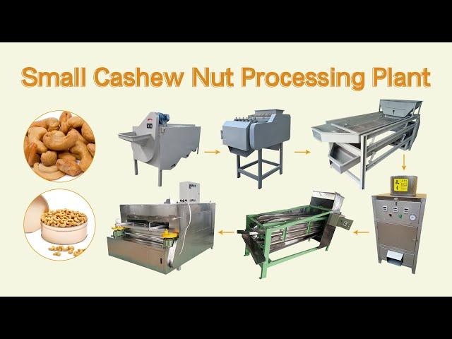 Best cashew nut processing plant 300kg/h | cashew shelling/separating/peeling/roasting machines