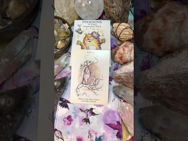 Card of the day from the Pixiekins Daily Inspiration Deck by Paulina Cassidy (Fae)