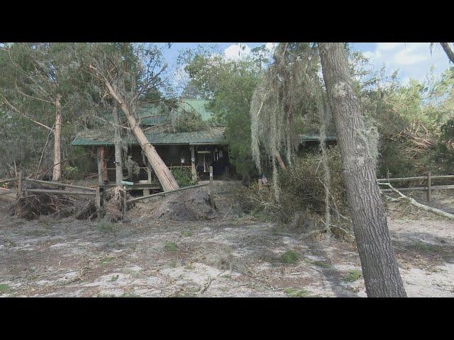 Georgia man has over 40 fallen trees on his property thanks to Helene