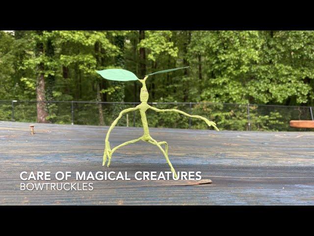 Wizardry Workshop - Care of Magical Creatures