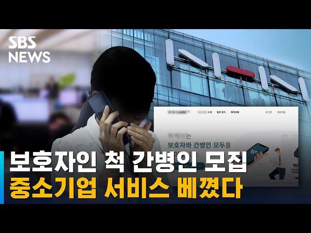 보호자인 척 간병인 모집, 중소기업 서비스 베꼈다 / SBS