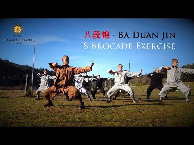 八段锦 · Ba Duan Jin (8 Brocade Exercise) Qi Gong