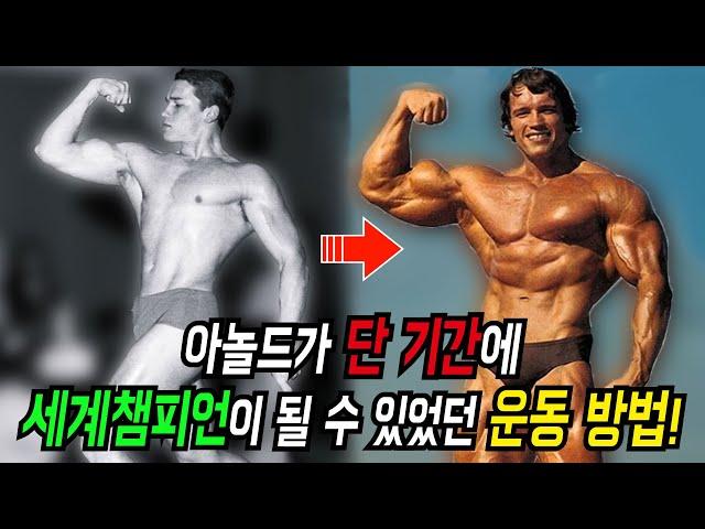 평범했던 아놀드가 세계 챔피언이 될 수 있었던 운동 루틴!