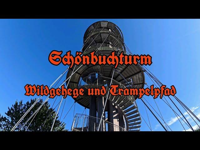 Schönbuchturm - Wildgehege - Trampelpfad - Schönbuch Rundweg - Turm bei Herrenberg