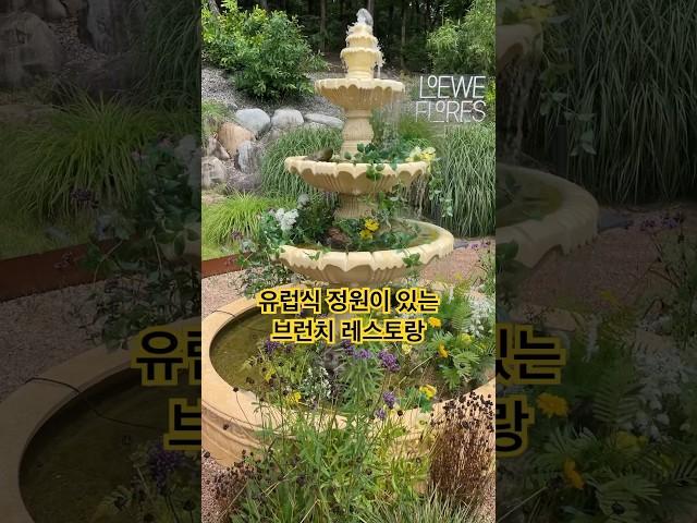 유럽식 정원과 분수가 있는 브런치 탑티어 맛집?!! #대구카페 #cafe #프렌치토스트 #브런치카페 #팔공산