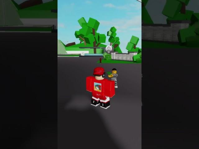 3 TYPES OF PLAYERS IN BROOKHAVEN! 
