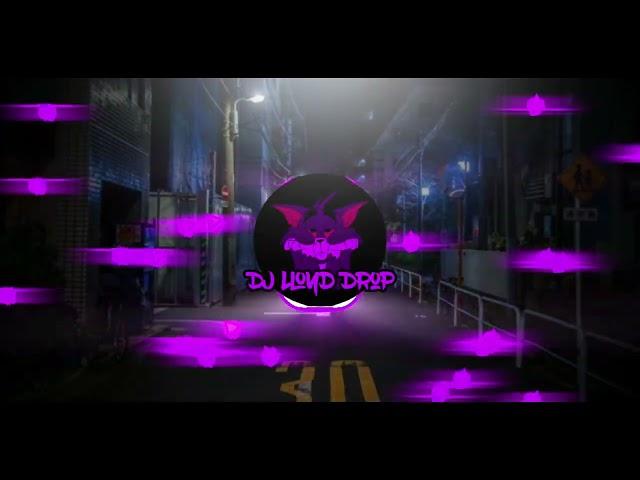 DJ Starlight x Stereo Love Viral 2024 (DJ Lloyd Drop Remix)