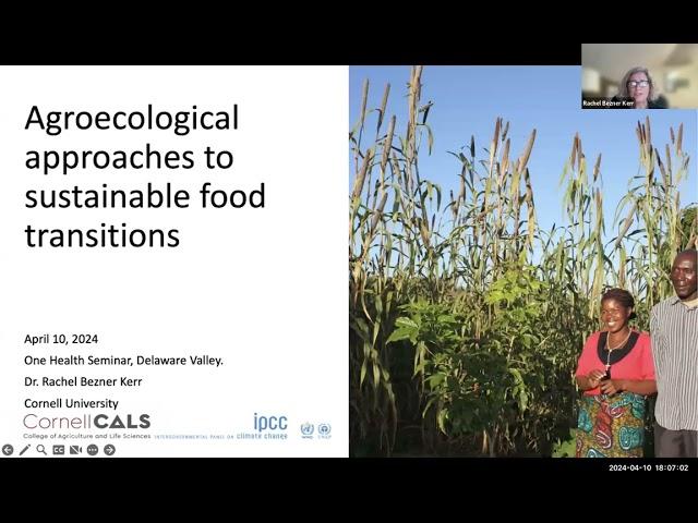 "Agroecological Approaches to Sustainable Food Transitions" by Rachel Bezner Kerr