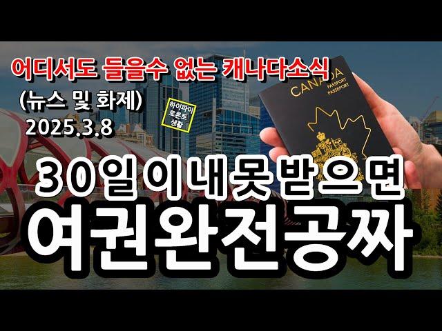 캐나다 뉴스 및 화제 (25.3.8)