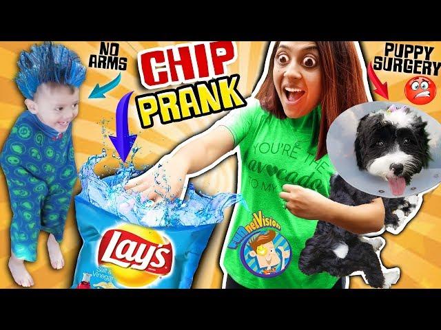 CHIP Joke & Puppy Surgery Boo Boo  + FGTEEV Gaming 1st Reaction FUNnel Vision Family Vlog