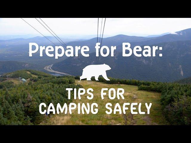 Prepare for Bear: Tips for Camping Safely