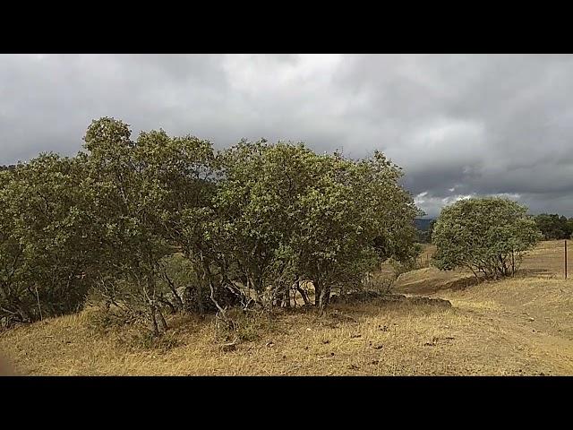 DESDE LA CUESTA DEL ACEBUCHE