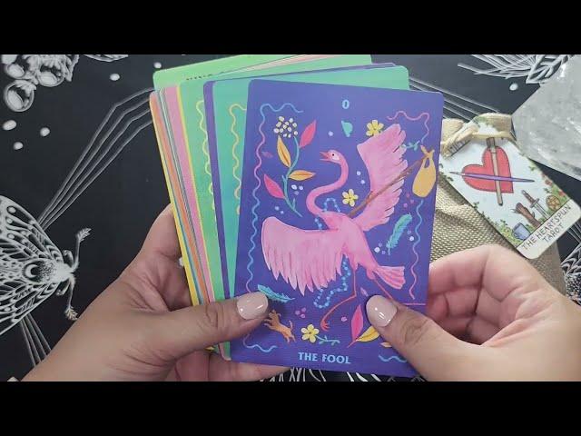 Deck Collection Series: Animal Decks!