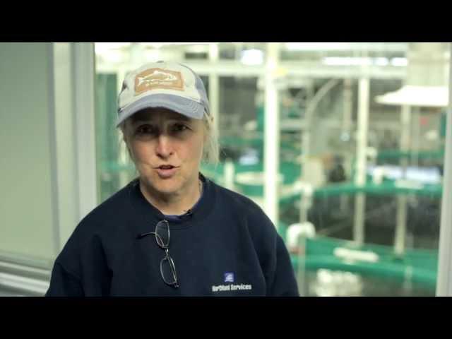 Alaska Department of Fish & Game Hatchery