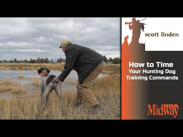 How to Time Your Hunting Dog Commands | Scott Linden