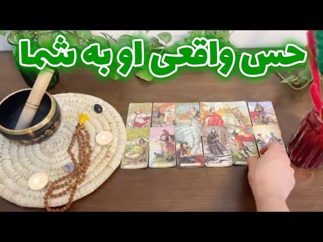 فال تاروت لئون - حس واقعی او به شما