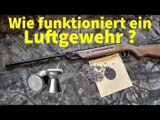 Wie funktioniert eigentlich ein Luftgewehr?