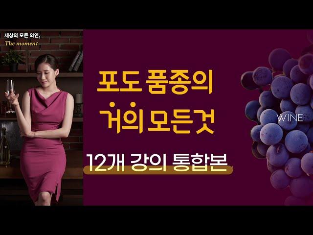 와인 포도 품종의 거의 모든것 (12개 강의 통합본)