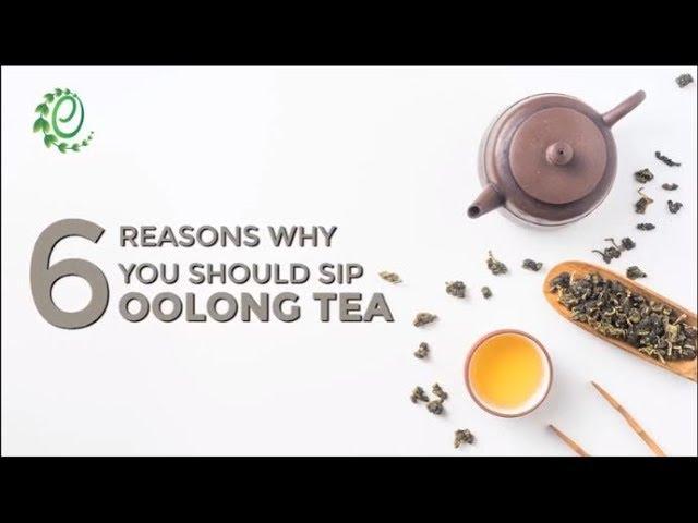 6 Reasons Why You Should Sip Oolong Tea | Organic Facts