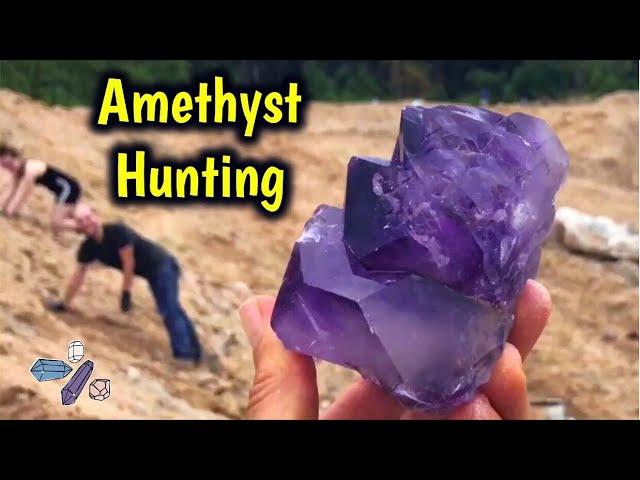 Finding Large Amethyst Crystals Digging Jackson’s Crossroads | Public Mine | JXR