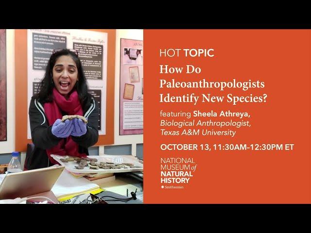 HOT (Human Origins Today) Topic: How Do Paleoanthropologists Identify New Species?