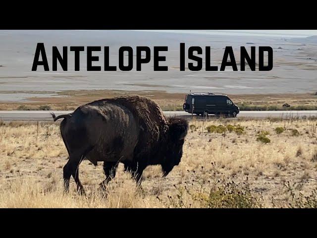 TOP 5 to DO & SEE in ANTELOPE ISLAND | Salt Lake City | The Great Salt Lake | UtAh Parks