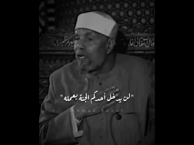 فضل الله #الشعراوي