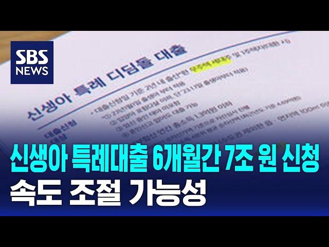 신생아 특례대출 6개월간 7조 원 신청…속도 조절 가능성 / SBS