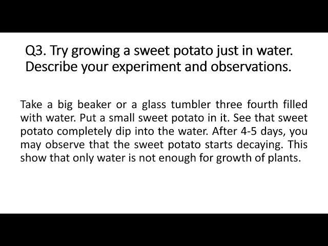 Class 7ll Sciencell Nutrition in Plantsll ch1llNCERT Part2#TravelTreats