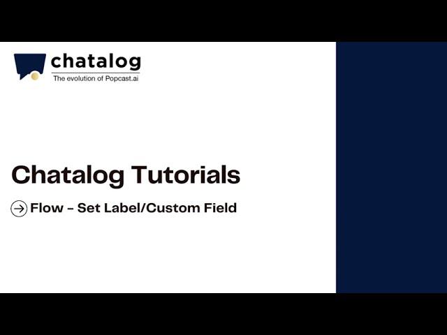 chatalog Tutorials | Flow Set Label and Custom Field ｜WhatsApp Business API | English Subtitle