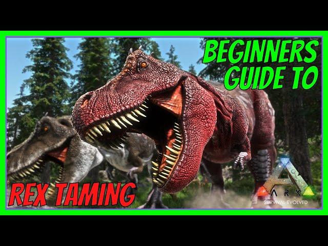 REX TAMING | BEGINNERS GUIDE | ARK: Survival Evolved 2022 | The Island [S1 E8]