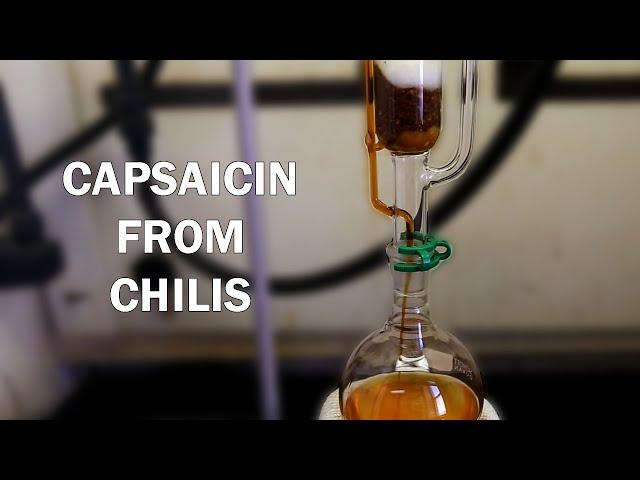 How to extract capsaicinoids from chili peppers