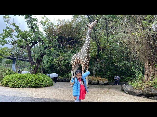 2022/12/31 台北市立動物園 Zoo@蘋果&葡萄Channel