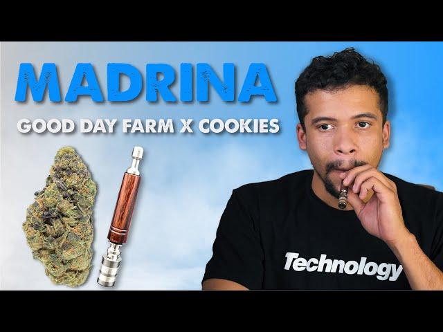 Madrina | Louisiana Medical Marijuana Review | GDF