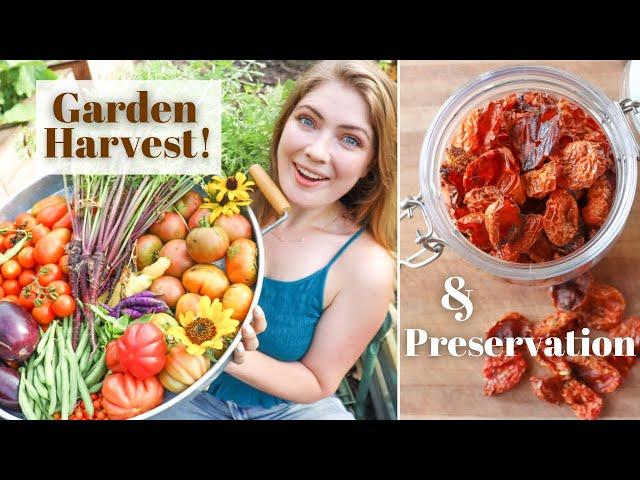 *Massive Garden Harvest* I Can’t Believe How Much Everything Weighed!