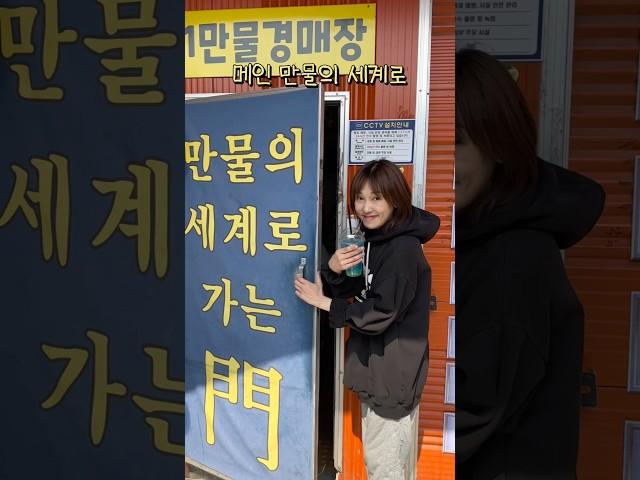 고삐 풀린 망아지 되는 1,000원 시작 ”도깨비 경매장“