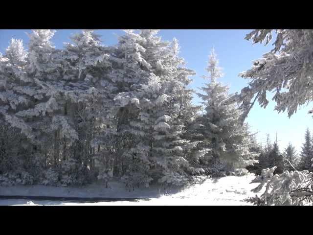 Roan Mountain Winter Wonderland Part 1 - Tony Lee Glenn