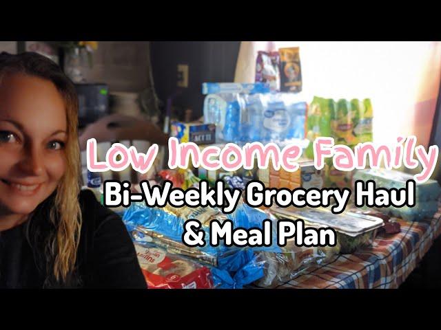 Mobile Home Living WALMART HAUL & MEAL PLAN | BLT WRAPS #mobilehomeliving #walmarthaul #lowincome