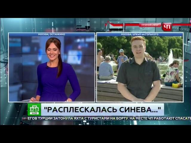 "За ВДВ". Десантник избил журналиста НТВ во время прямого эфира в парке Горького