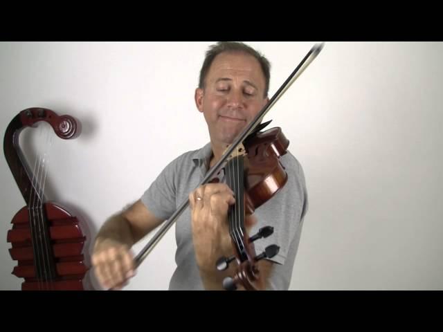 Scott Cao STV 750 Violin