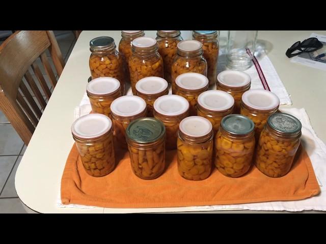 Canning up all those carrots