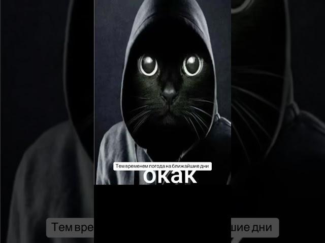 15 мая 2025 г.