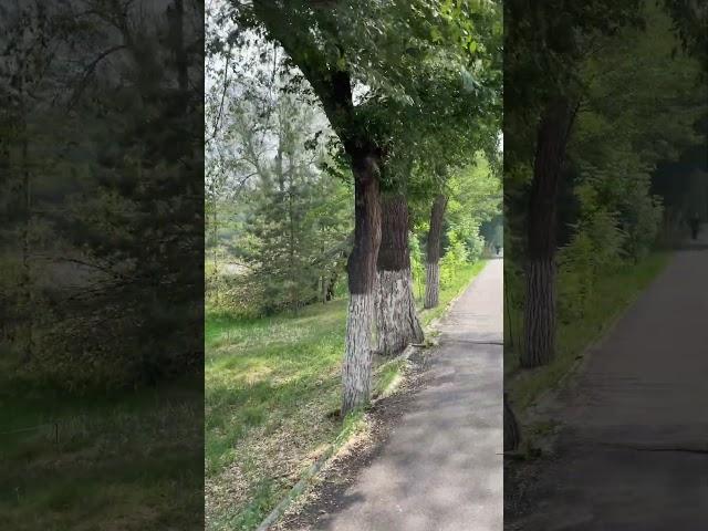 Узнаете район? #тараз #taraz