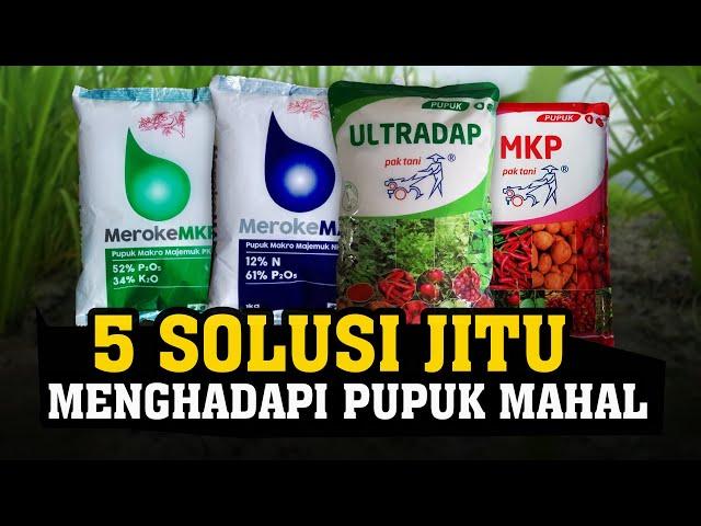 WAJIB TAU.! 5 SOLUSI JITU MENGHADAPI PUPUK MAHAL, Tanaman Subur Berbuah Lebat Hemat Biaya - Ultradap