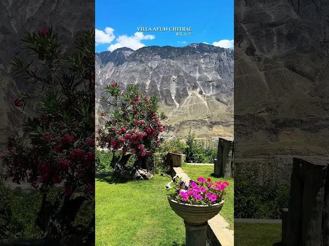 Villa oyun chitral #chitralvalley #chitralinewsong #kalashvalley #pakistanregion #pakistanvalley