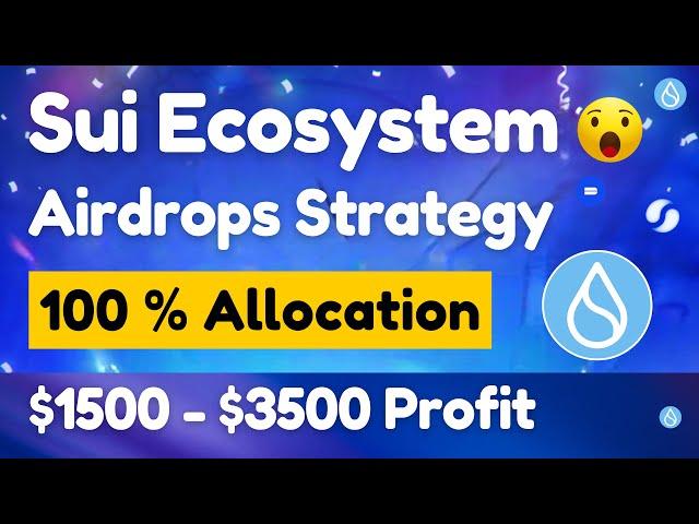 Sui Ecosystem Airdrop Strategy | Make $3500 Profit | Don't Miss This