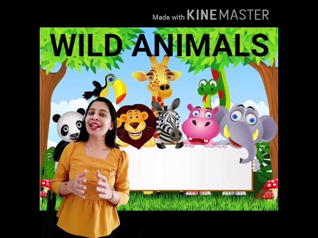 Wild animals