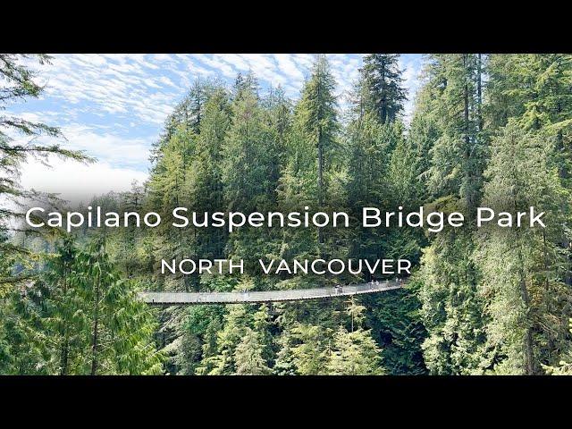 Capilano Suspension Bridge Park in North Vancouver and Hiking the Pipeline Trail