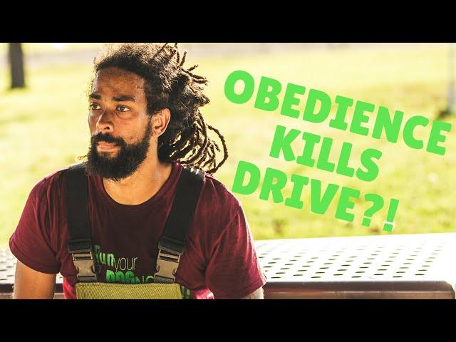 Obedience Kills Drive | Grassroots K9