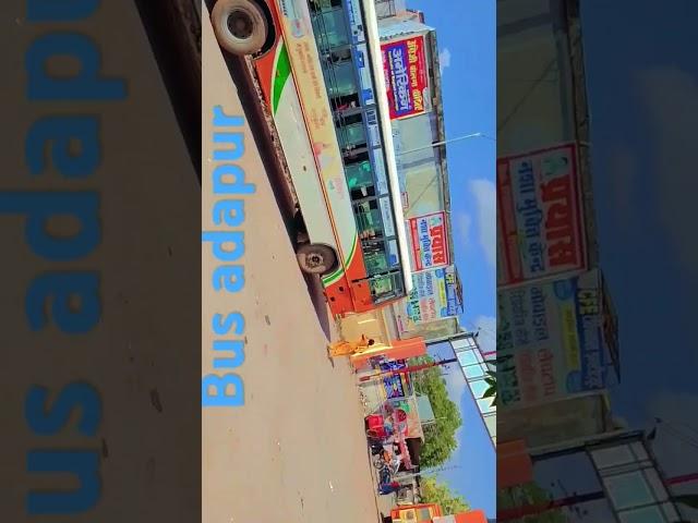 Satyam Kumar Mafia
